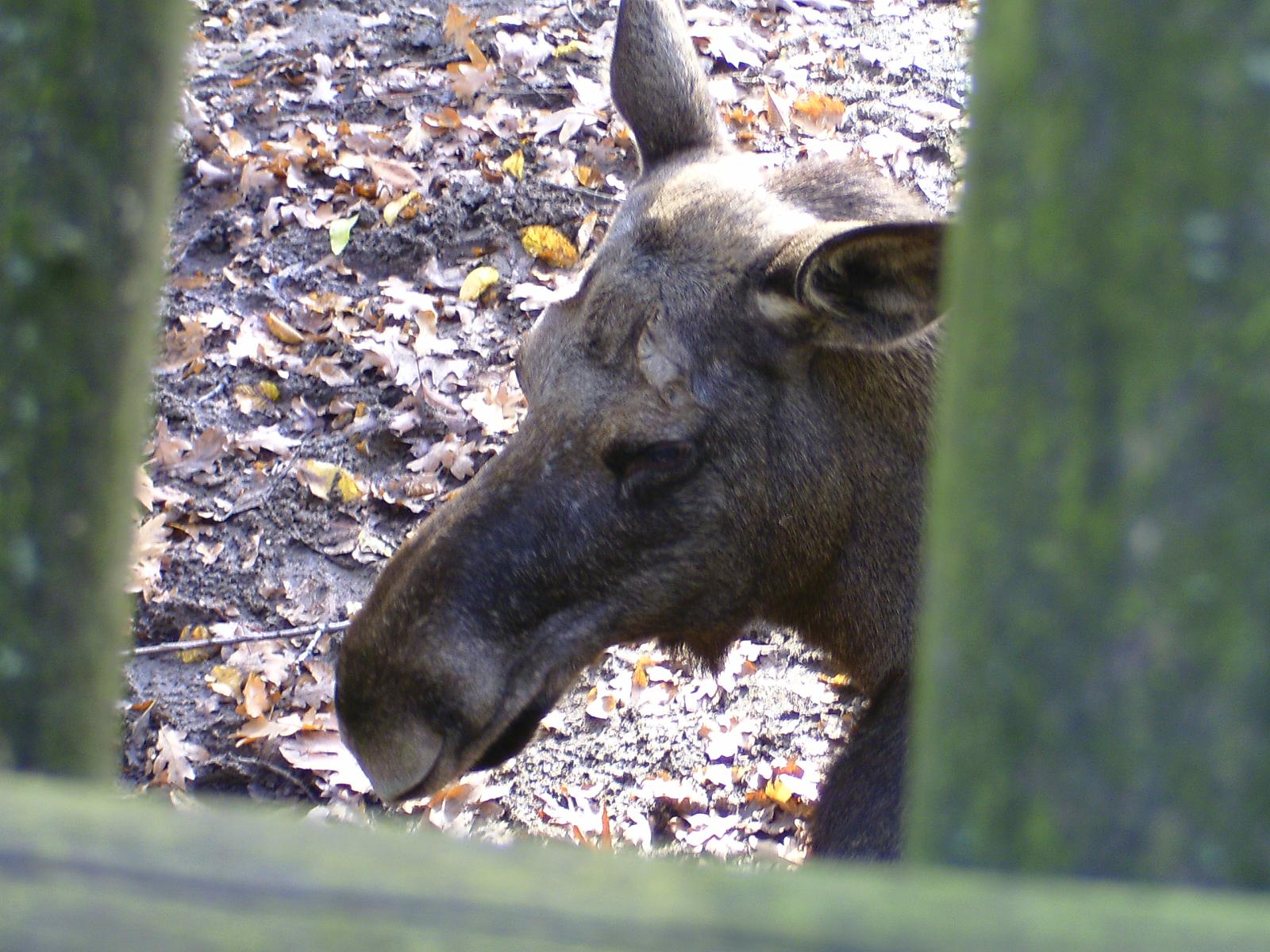 Zoom 18.10.08-075.jpg